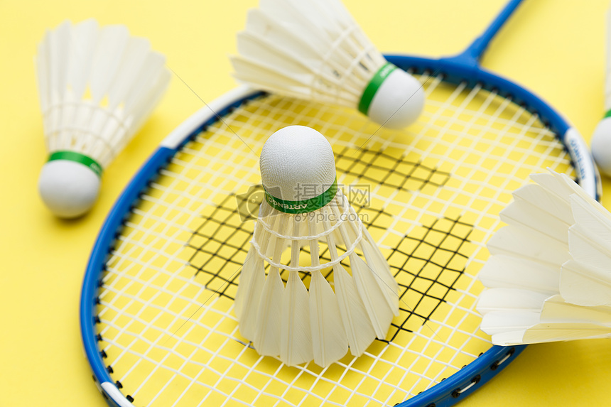 年轻血液的 年轻血液的