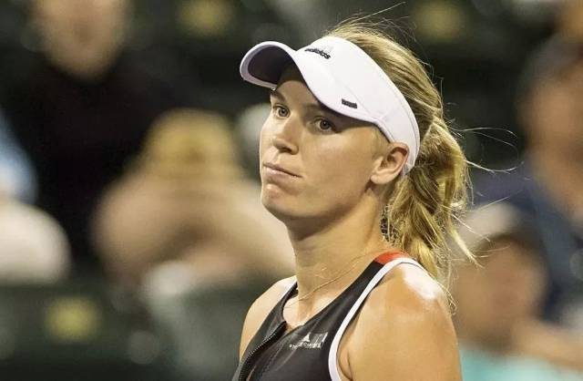 的稳定水平 的稳定水平